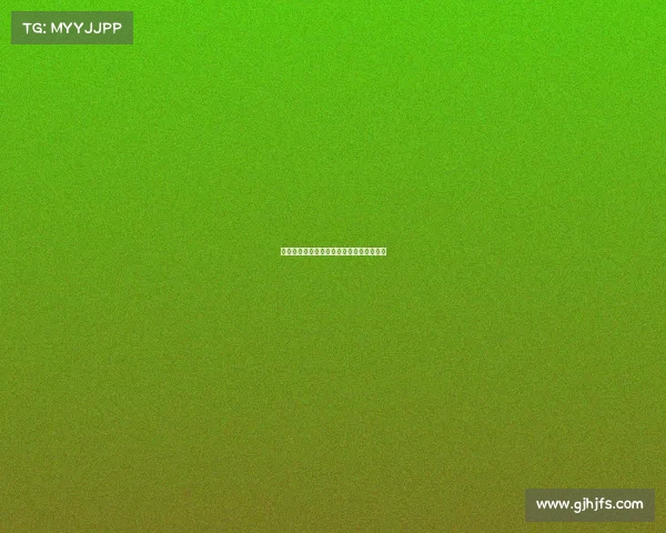 德甲豪门俱乐部实力对比与新赛季战术分析