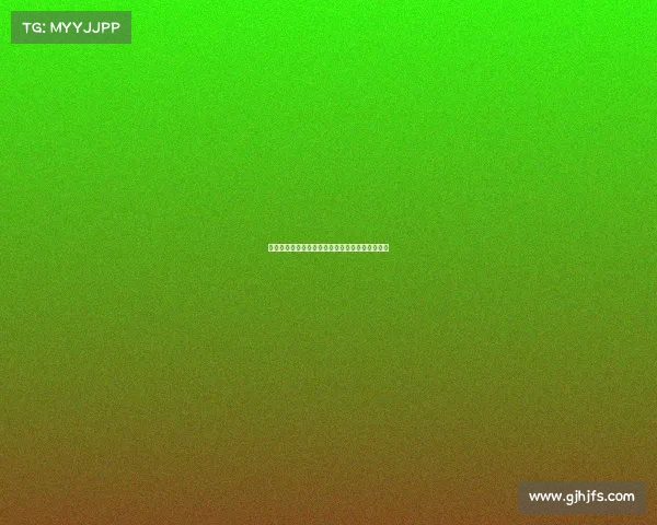 本怀特与哲凯赖什曾携手并肩作战的篮球传奇时刻 本怀特与哲凯赖什曾携手并肩作战的篮球传奇时刻